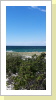 Strandblick über den Dünen Strandblick über den Dünen