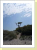 Strandaufgang mit Windflüchter Strandaufgang mit Windflüchter