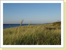 Dünen Landschaft in Prerow Dünen Landschaft in Prerow