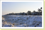 Winter Winter