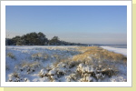 Düne im Schnee Düne im Schnee